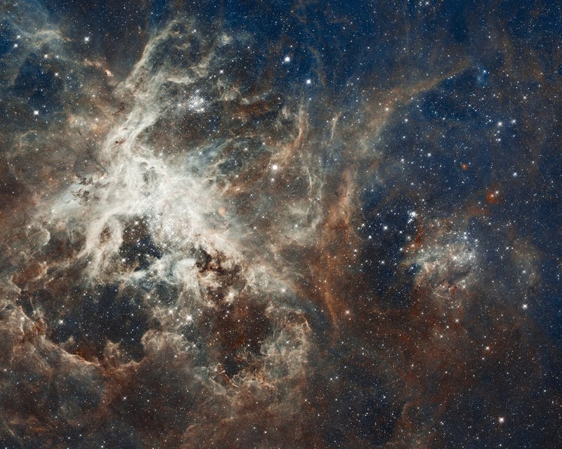 Temporal Experiments Image